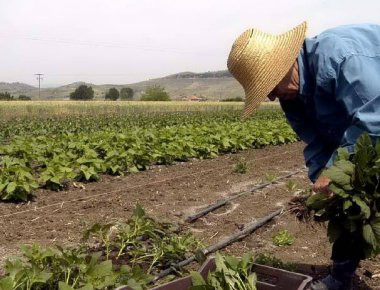 Αύριο καταβάλλονται οι αποζημιώσεις του ΕΛΓΑ σε 12.260 αγρότες